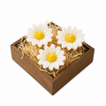 Daisy Candles